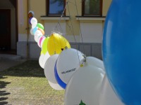 /album/a-rendorseg-allomasa/img-0420-jpg/